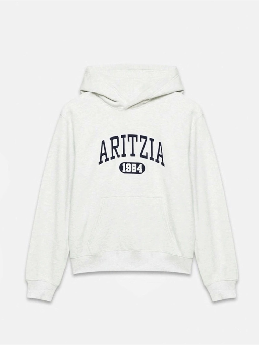 Aritzia Cozy Sweatfleece Perfect Hoodie White